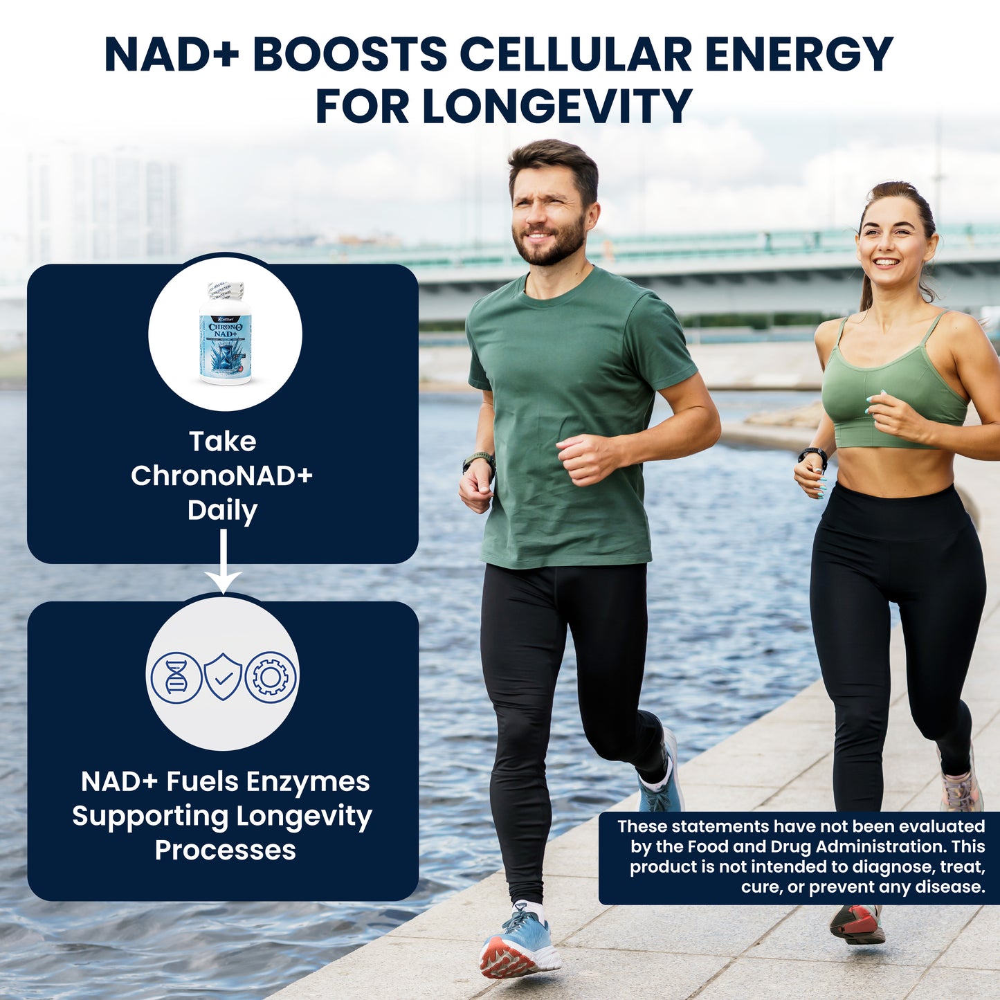Two people jogging by a waterfront with text about how ChronoNAD+ works in your body once taken