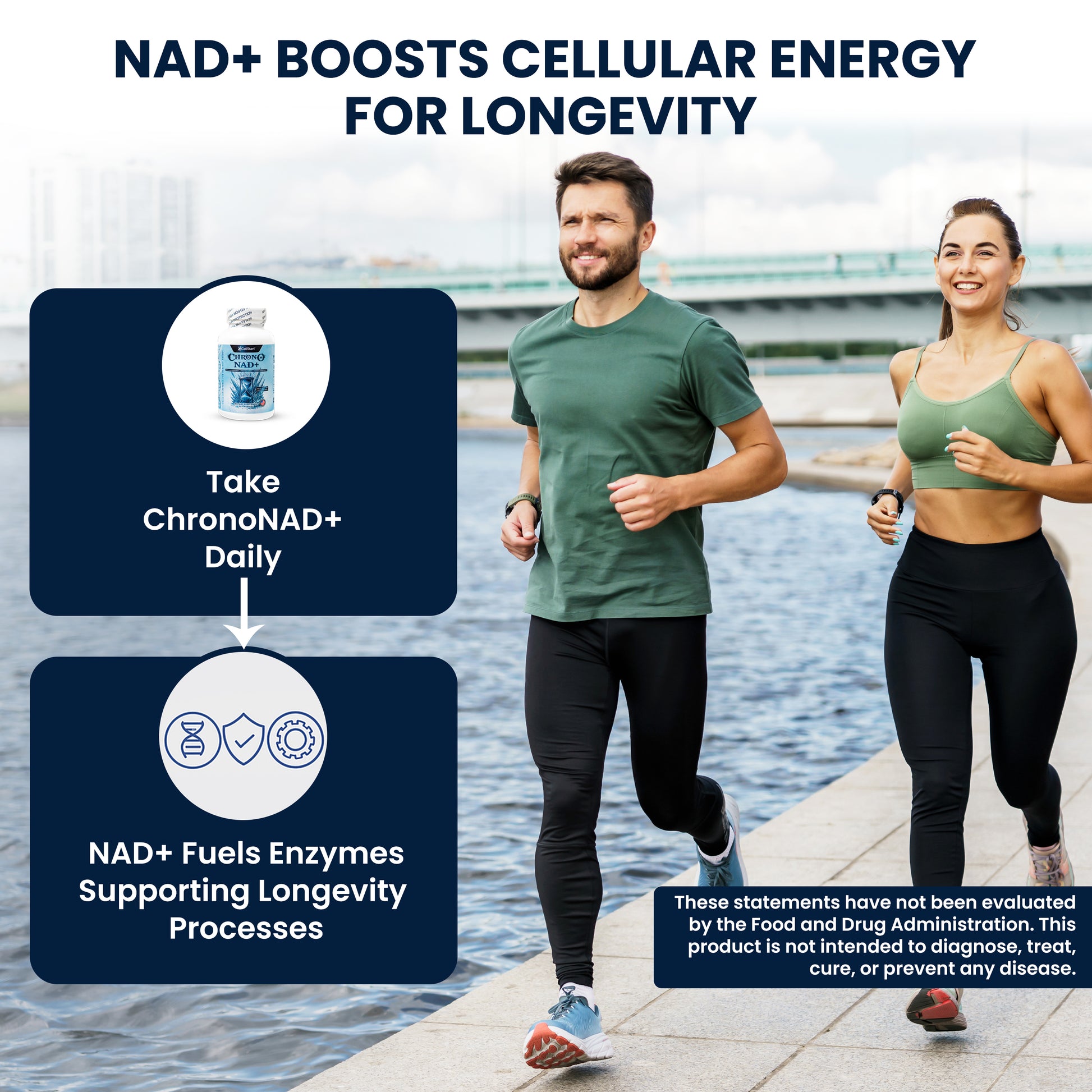 Two people jogging by a waterfront with text about how ChronoNAD+ works in your body once taken