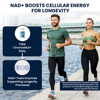 Two people jogging by a waterfront with text about how ChronoNAD+ works in your body once taken